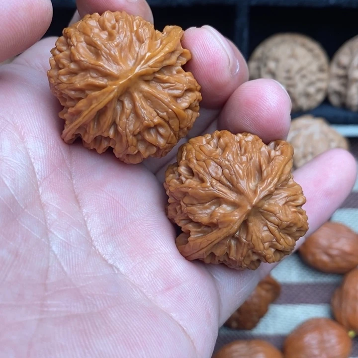 全品苹果园37尺寸
