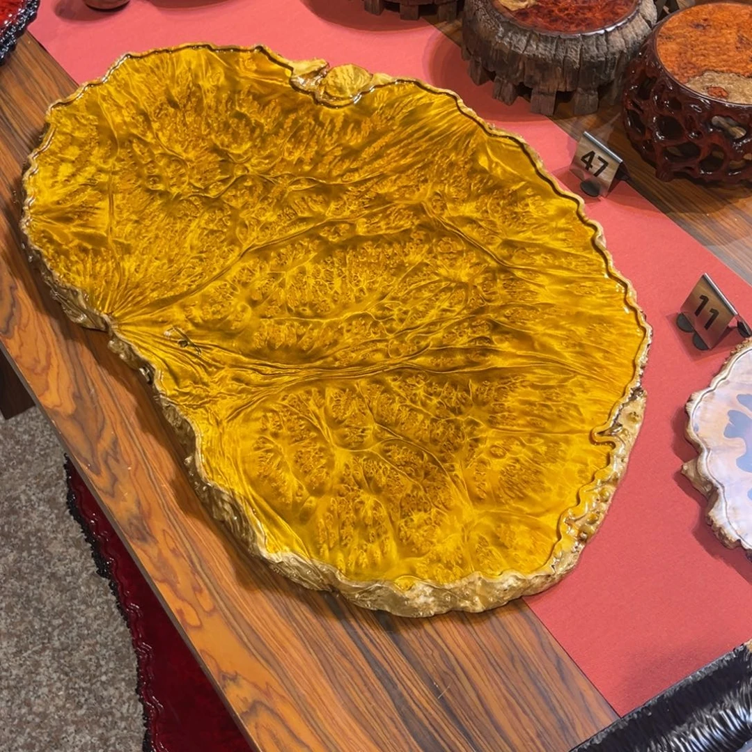 凡***^黄金樟干湿来啊啦啦啦啦啦