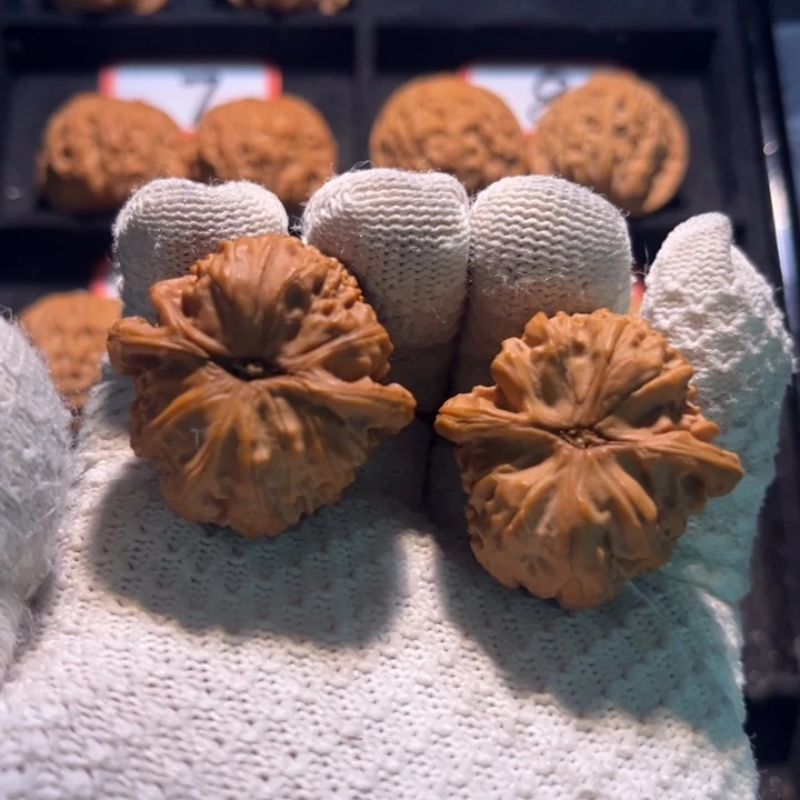 ****酒桃核吊坠11秦皇岛山地果全品