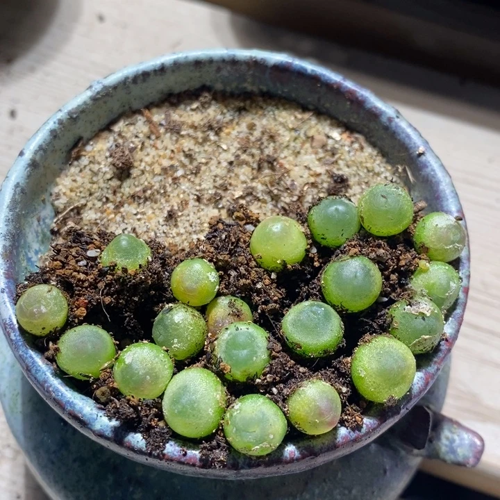 16205一组一组一组