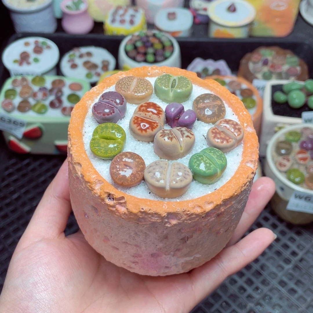 w6372 -零下地区拍保温箱-15支持寄养