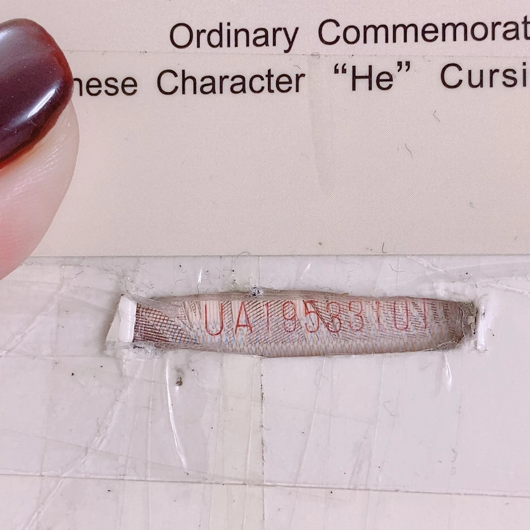 其他普通金属UA19533101黄金甲