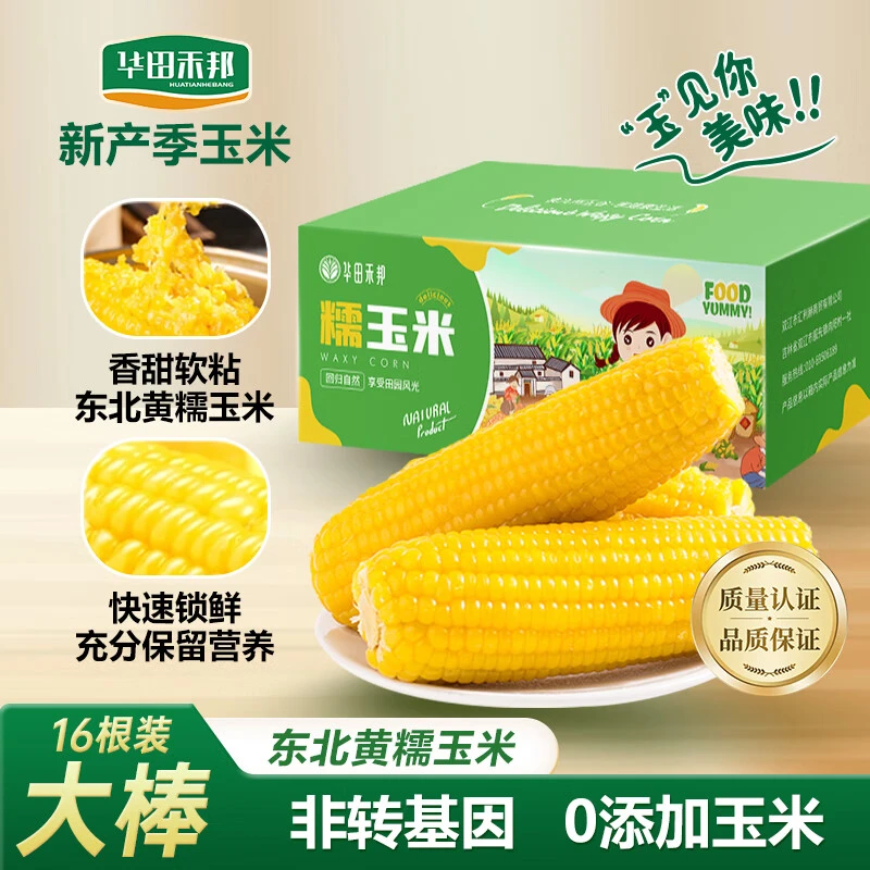 华田禾邦东北黄糯玉米甜玉米糯玉米棒黄糯甜玉米水果玉米苞米