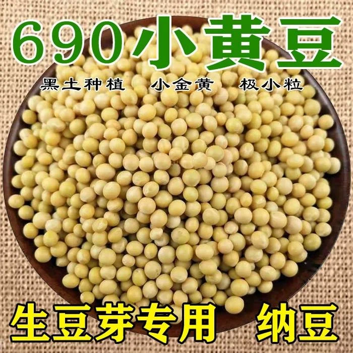 黑土地黄豆豆子发豆芽纳豆专用黄豆农家种豆小黄豆690龙江小金黄