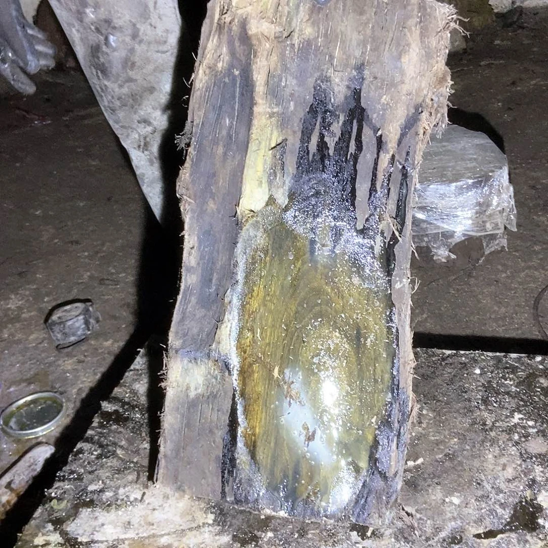 金丝楠阴沉木毛料