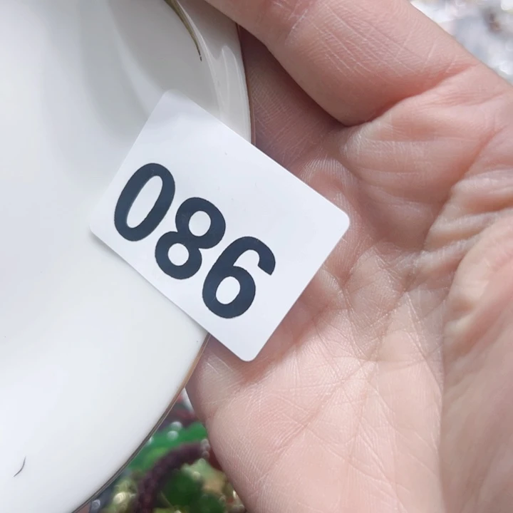 瓷片时****瑟Hochcogocoycpyvhpv