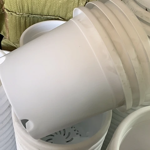 树脂四季3号纯白带托10套