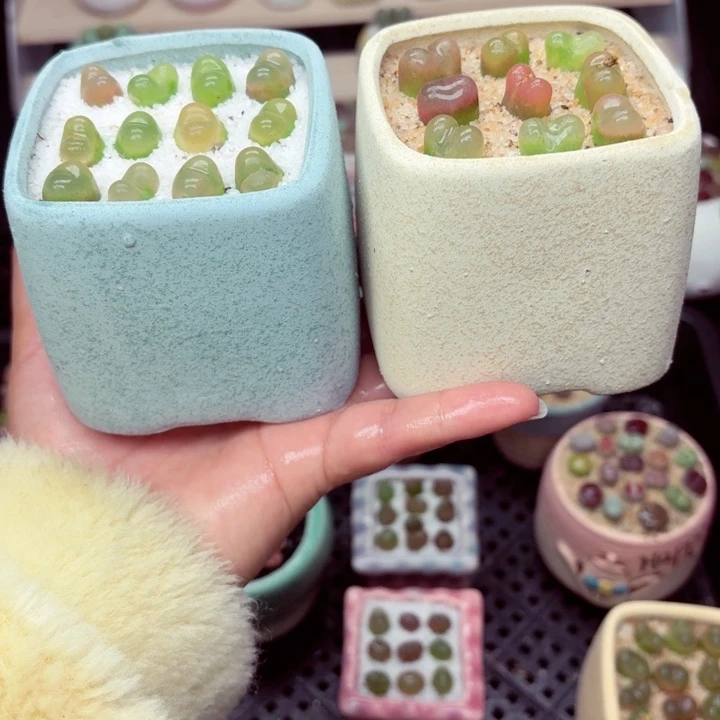 6025零下地区记得拍保温箱