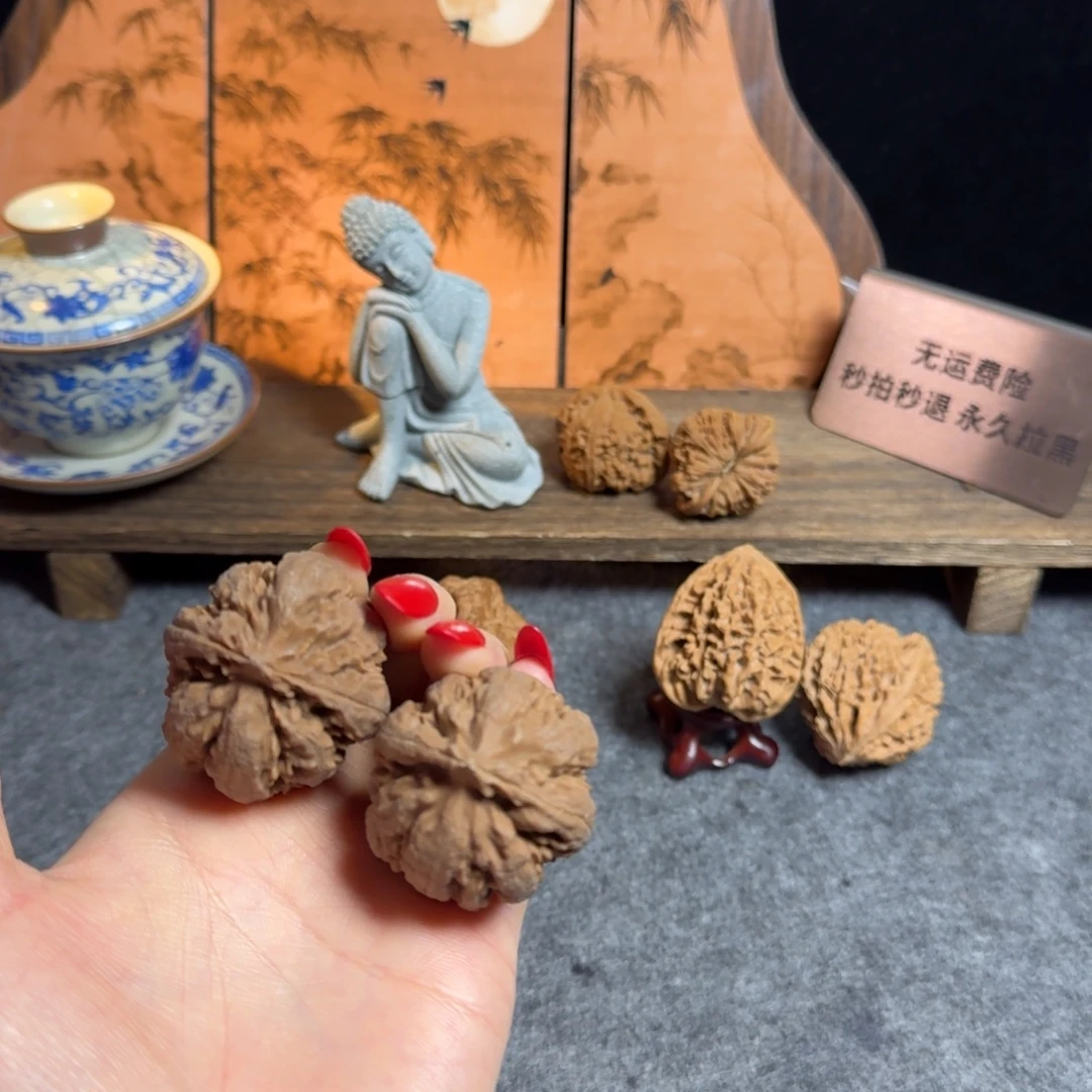 落地红霸王龙40白茬