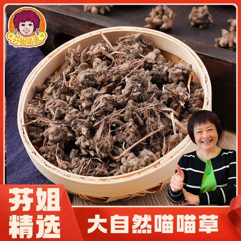 芬姐好物推荐大自然成长喵喵爬行草