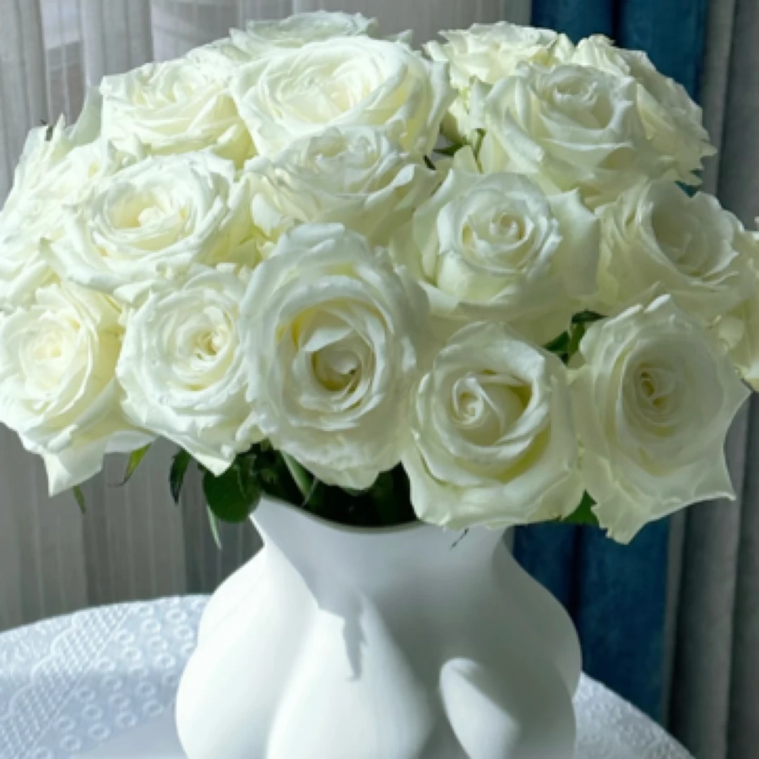 短腿骄傲白玫瑰20支特惠福利昆明基地直发