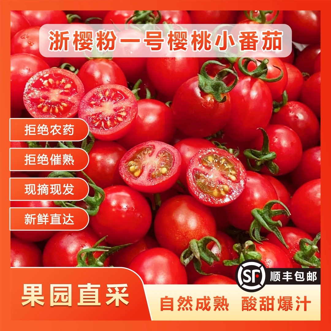 新品上市新鲜酸甜爆汁樱桃小番茄小西红柿水果新鲜现摘现发3斤