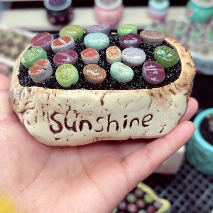 818零下地区记得拍保温箱