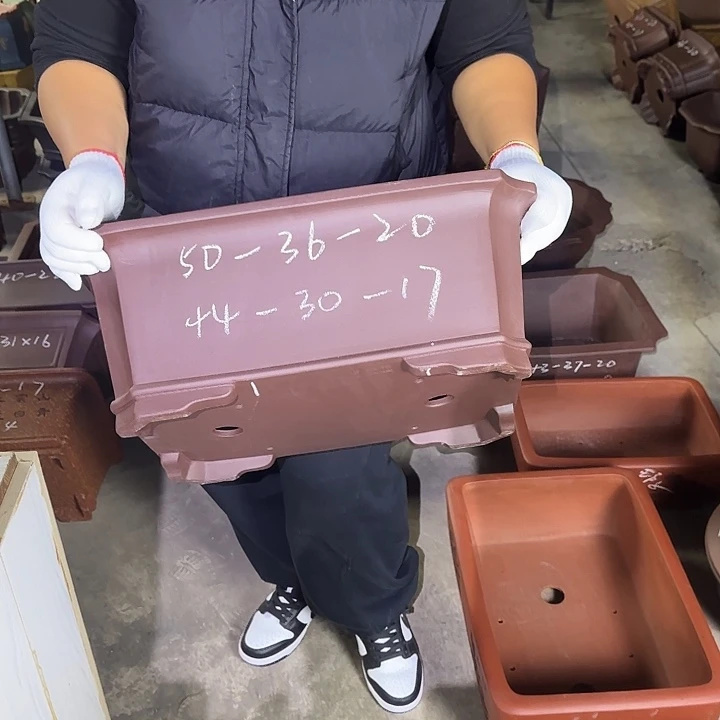 紫砂花盆这是我的