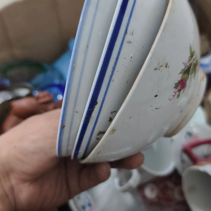 孑***孓香榧木来来来噜噜噜距离