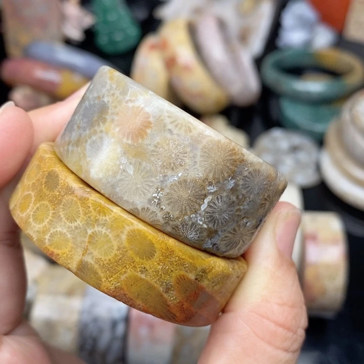 硅化玉颈饰未镶嵌