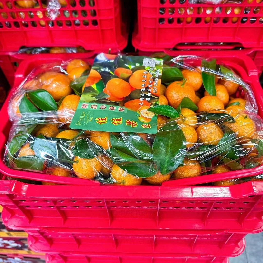 砂糖橘 发一箱毛重6.5斤左右