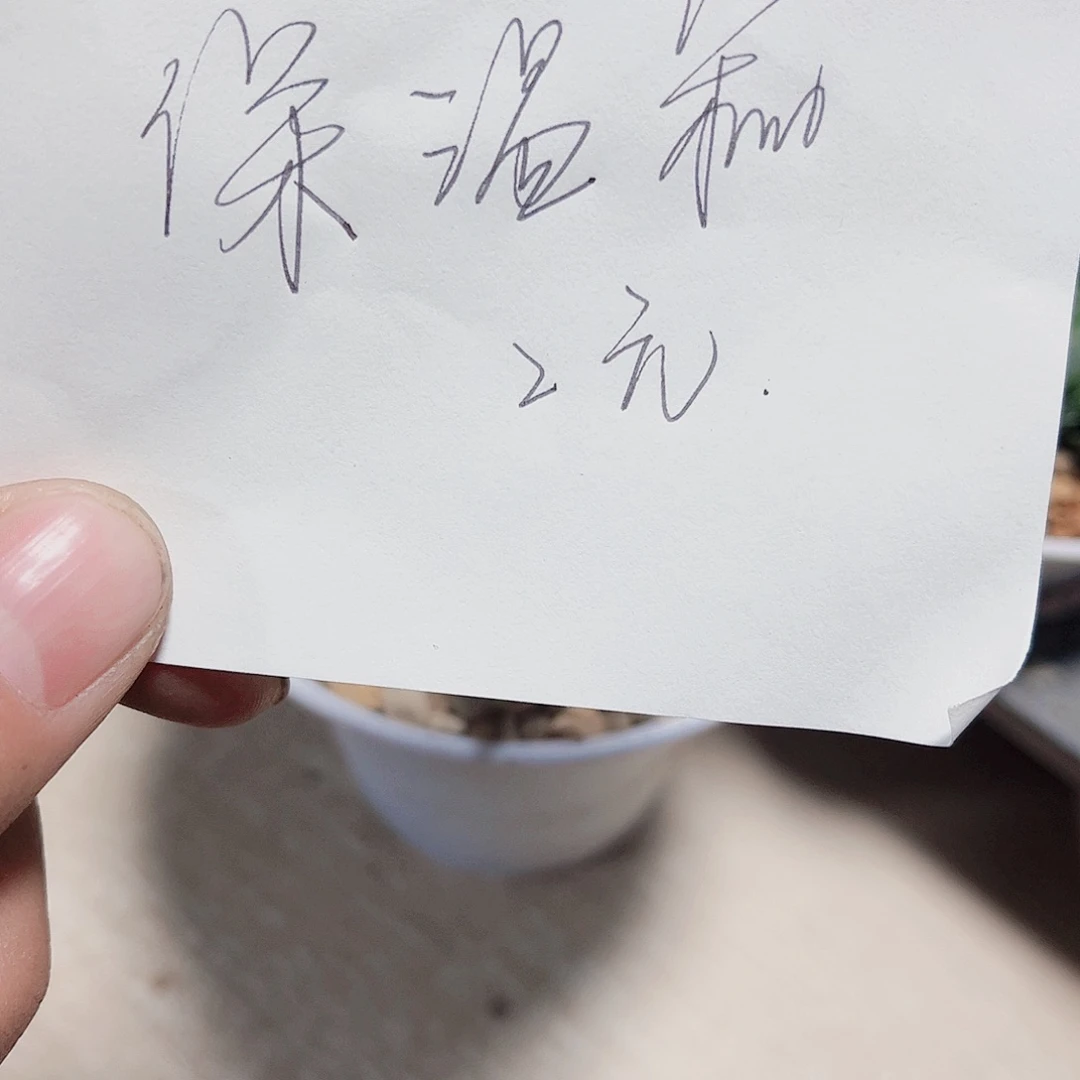 保温发货新手福利