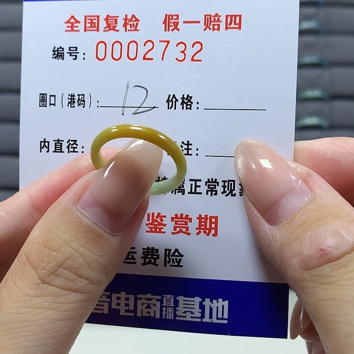 翡翠未镶嵌戒圈a2732