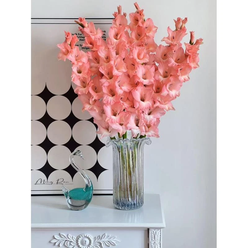 阳光粉剑兰 粉色剑兰 唐菖蒲 东北基地现采现发顺丰包邮 家居插花