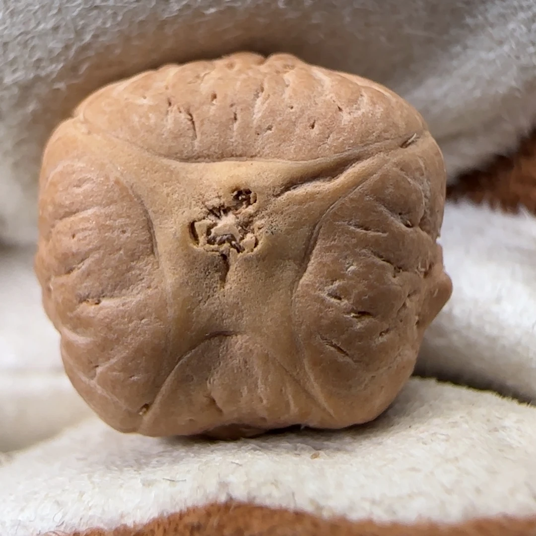 凤眼菩提吊坠凤眼菩提4