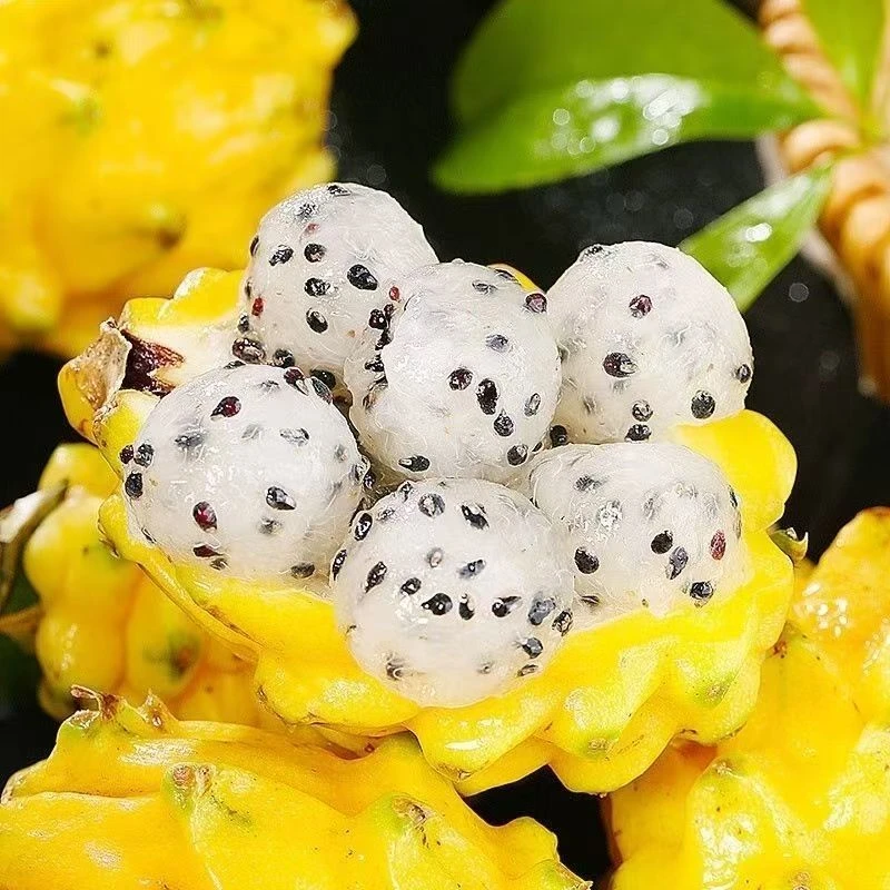 新鲜麒麟燕窝果【产地优惠】新鲜爽口孕妇甜水果香甜黄色火龙果热带