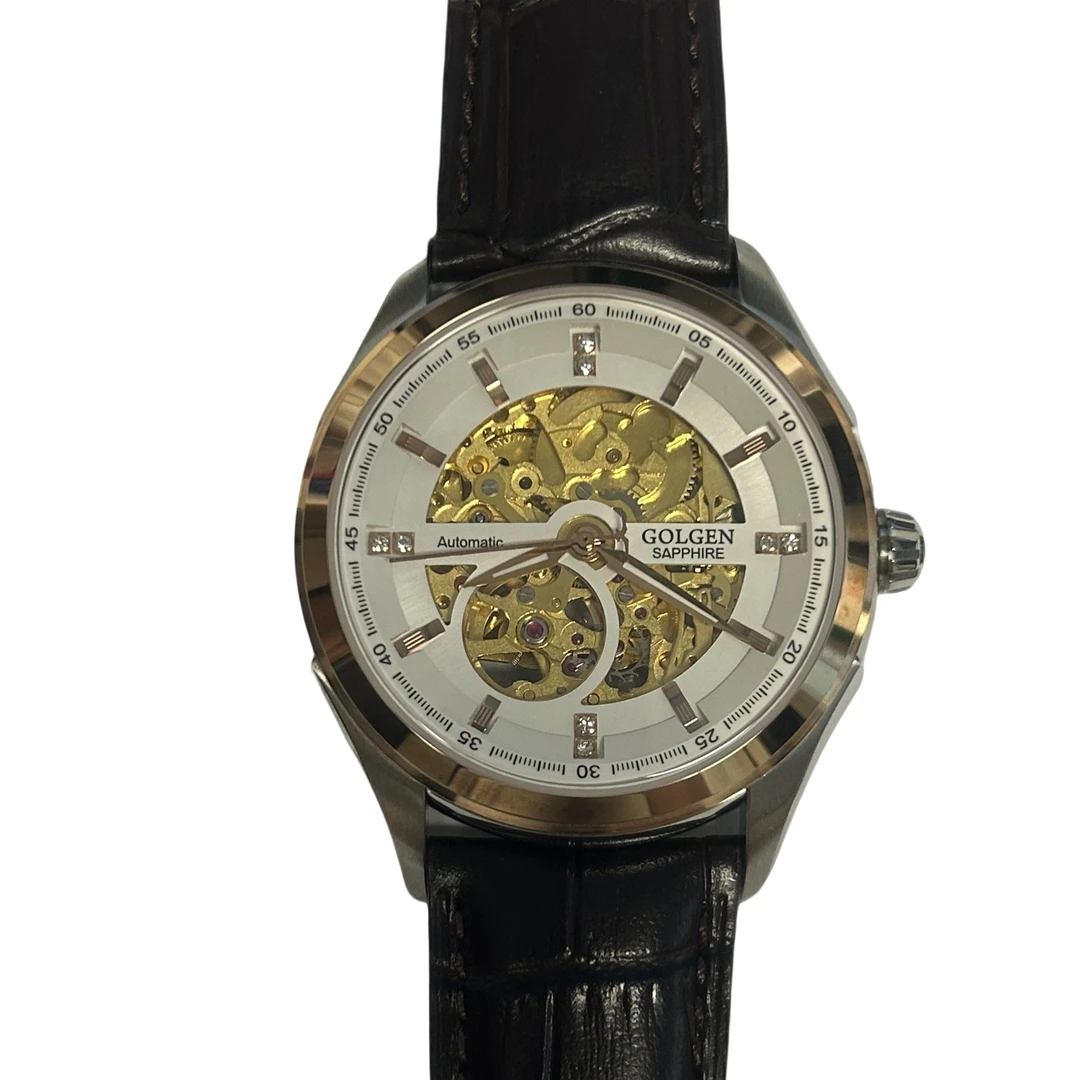 全新未使用 GOLGEN/古尊  自动机械女表GN.6106L.VRS表径33