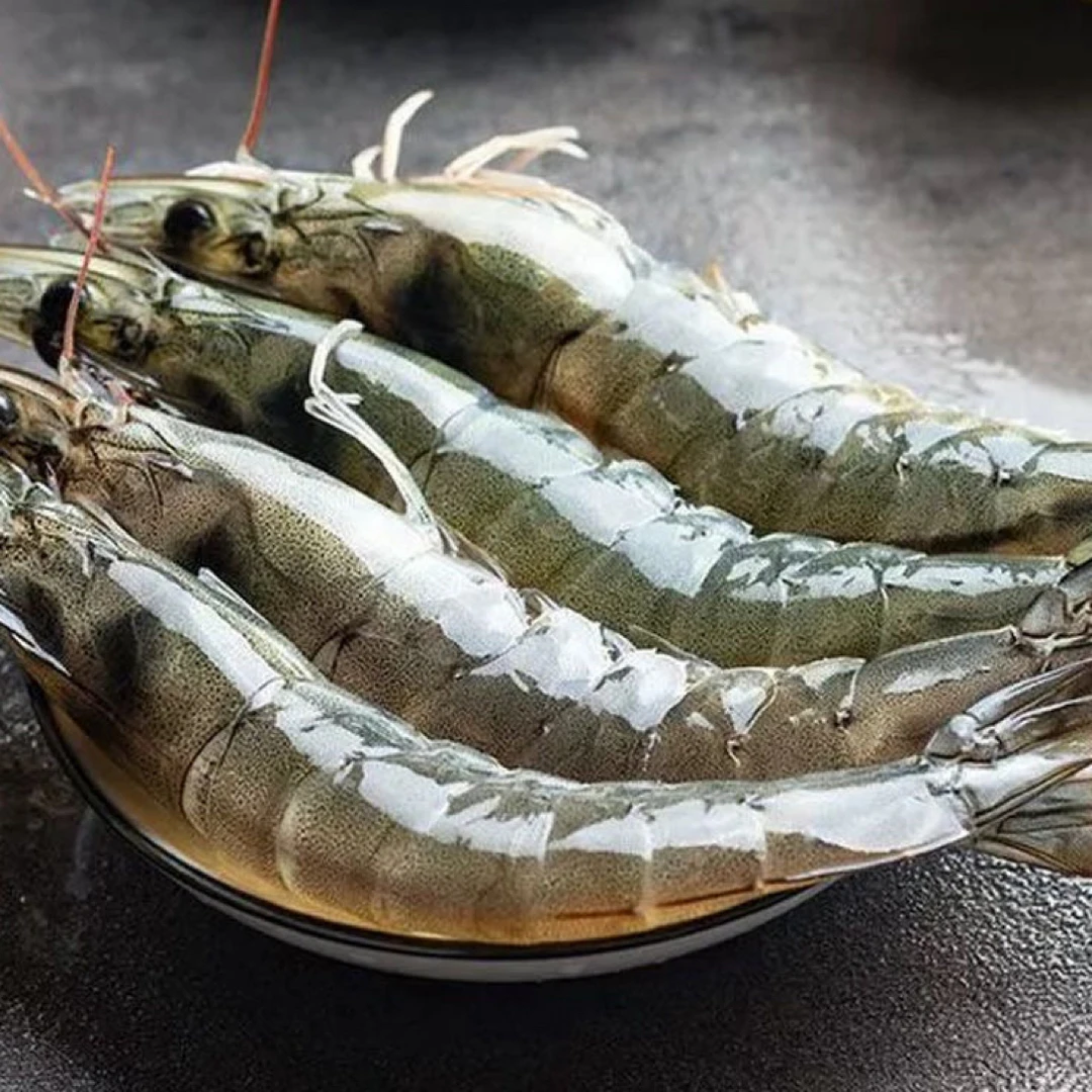 天津汉沽洒金坨盐田大虾（天津本市当日达）鲜活发货包鲜不包活新鲜