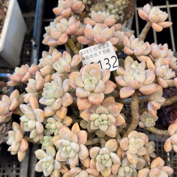 幸运的是我没有遇到过