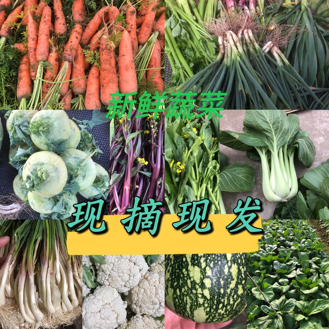 【当季时蔬】衡阳农家自种露天当季蔬菜 新鲜现摘