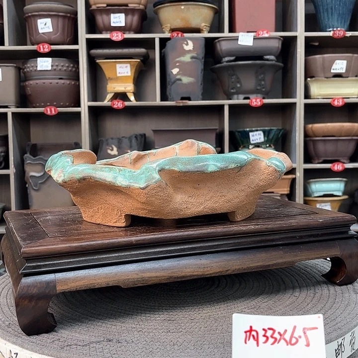 紫砂花盆紫砂的花也太