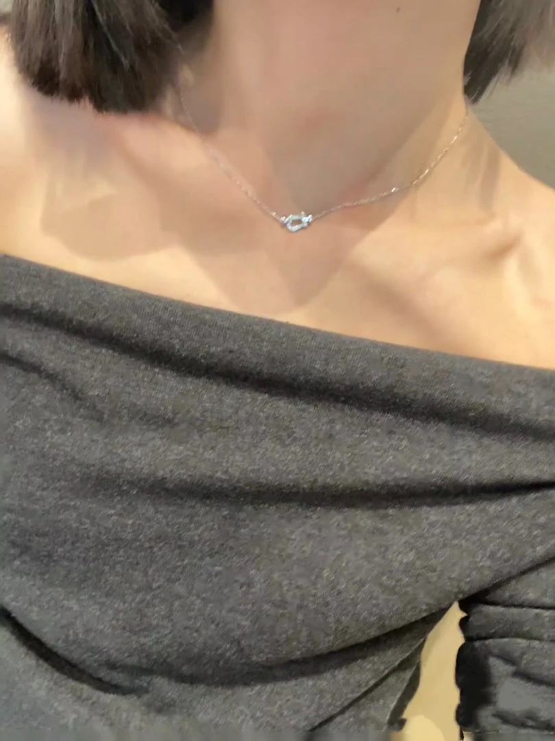 钛钢项链 马蹄项链女小众马蹄扣锁骨链链简约气质