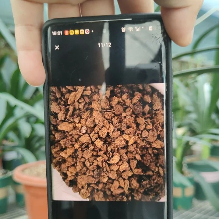 过筛泥炭块6/10 18升