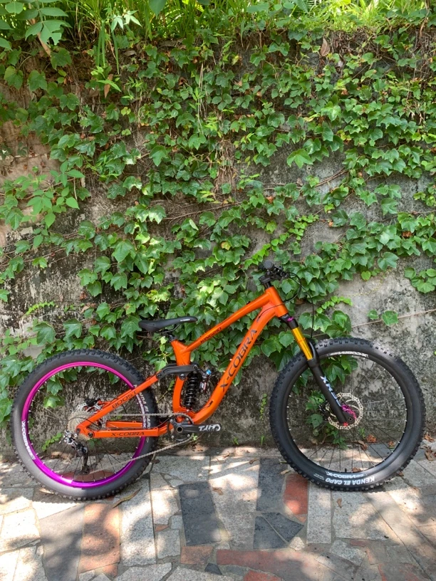 官方正品 眼镜蛇king210重型FR自由骑速降山地车 软尾山地车