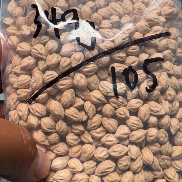 吊坠柏香籽/百香籽眠*