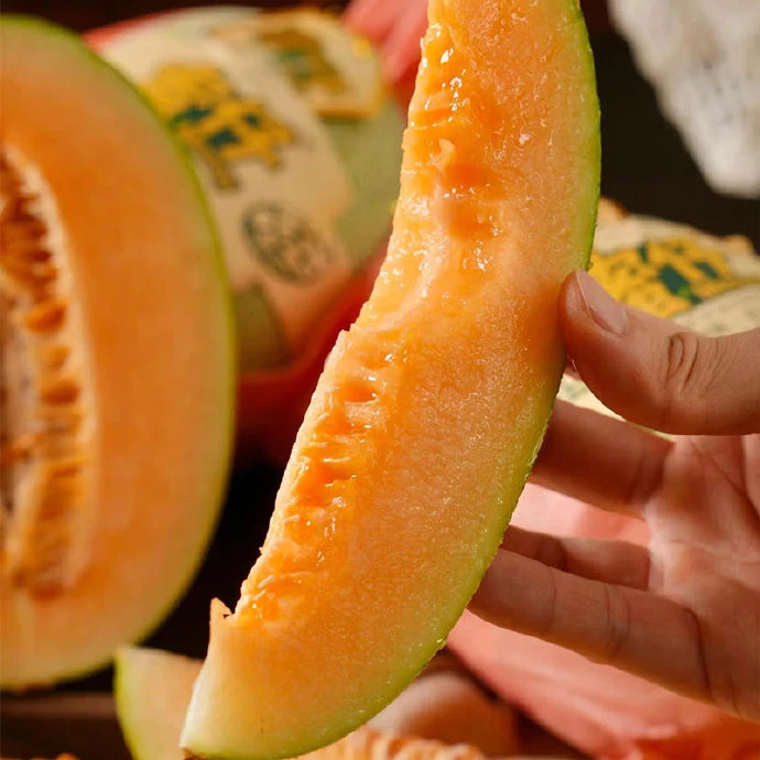 新疆吐鲁番西州蜜25号哈密瓜现摘先发产地直供脆甜多汁