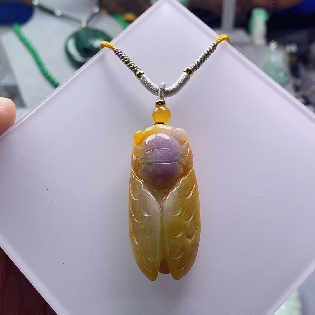 翡翠未镶嵌吊坠(赠链)