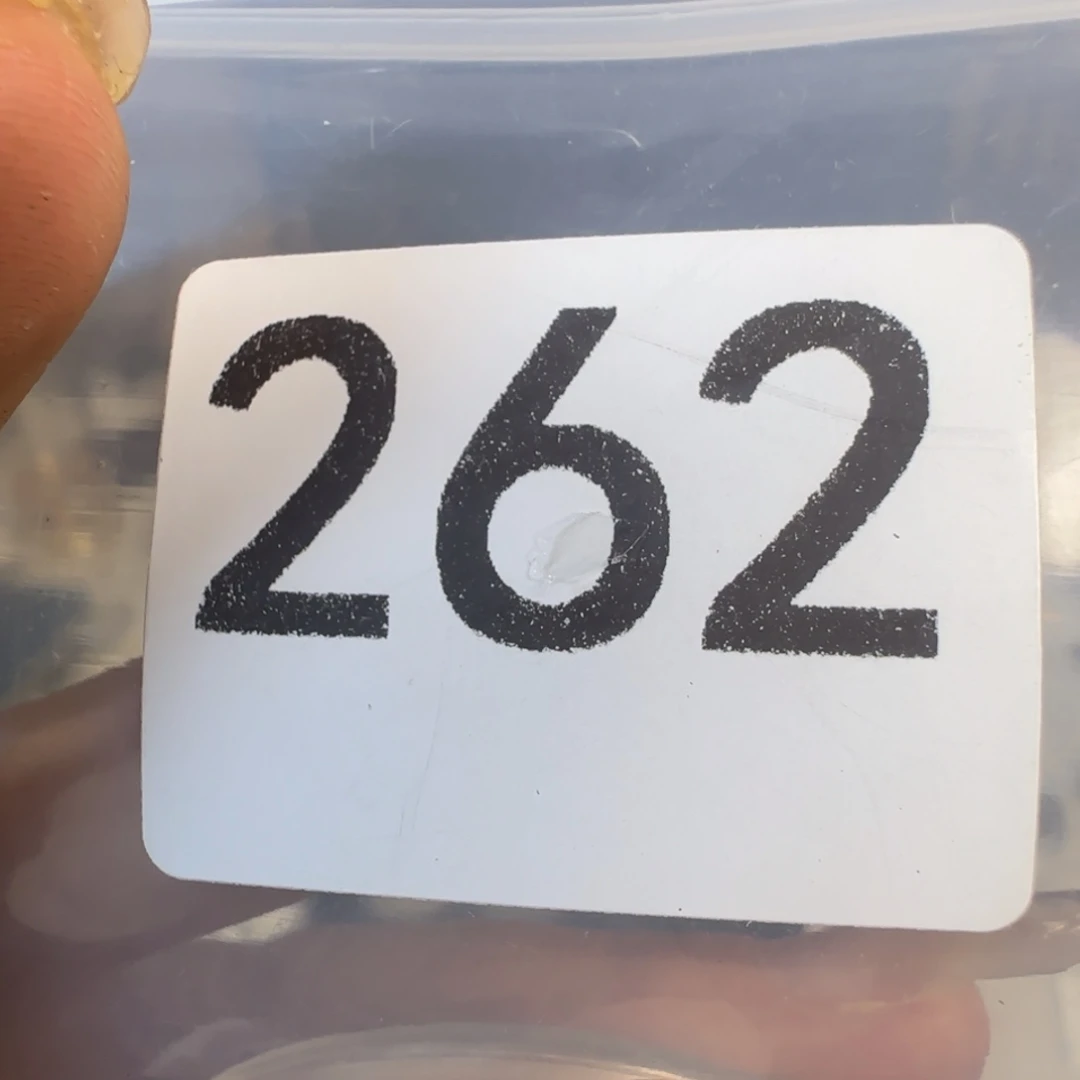 直播间秒拍秒付链接