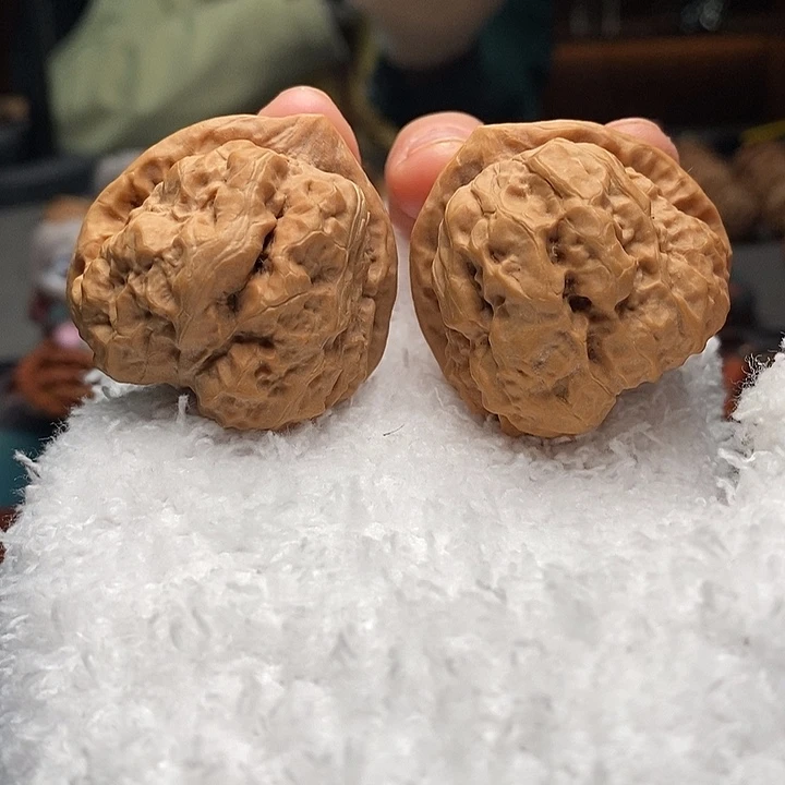 核桃1号 39尺蛤蟆头 带开背 白茬