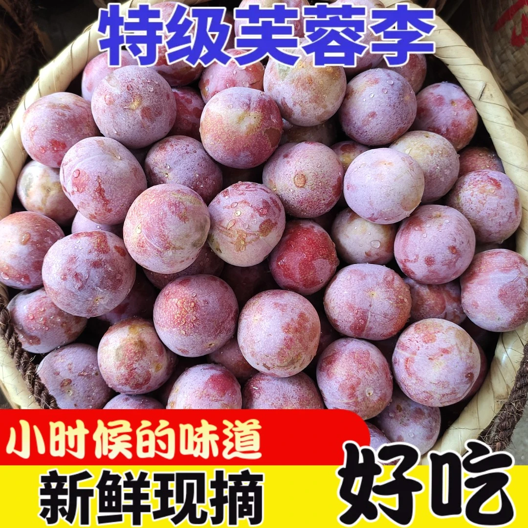 【礼盒装顺丰冷链】芙蓉李红心李新鲜现摘福建三华李孕妇果