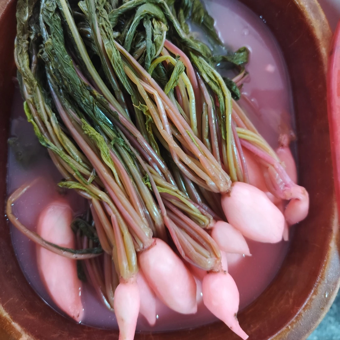 萝卜央央酸菜2斤包邮（湘西赶集代购）