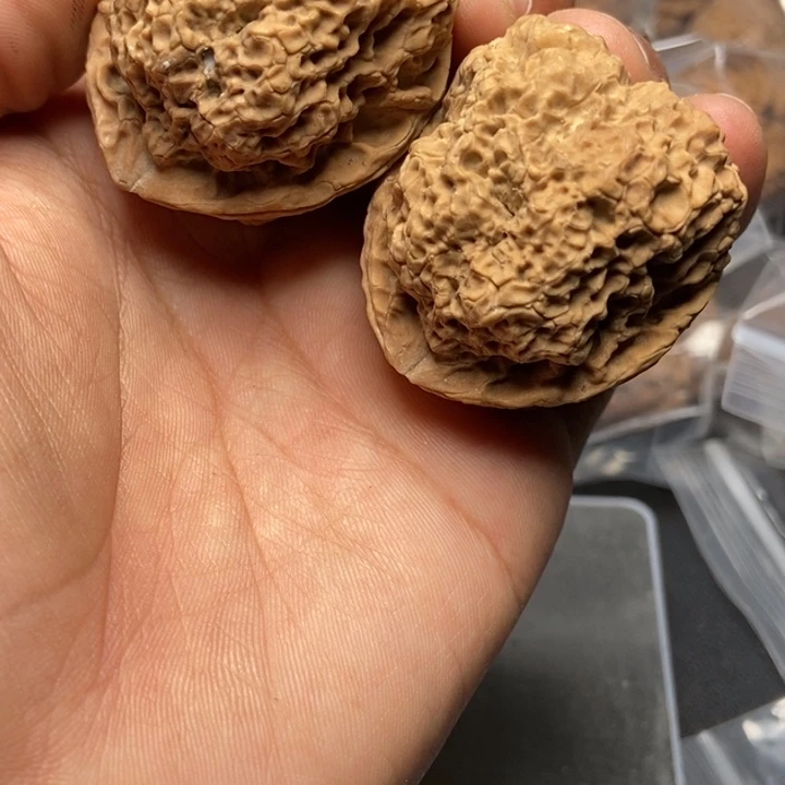 文玩核桃把件   77