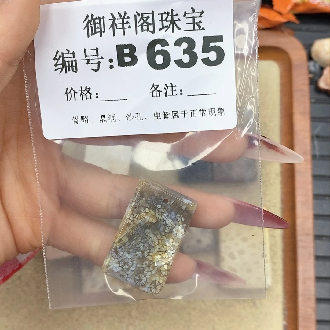 硅化珊瑚（珊瑚玉）颈饰未镶嵌星****.