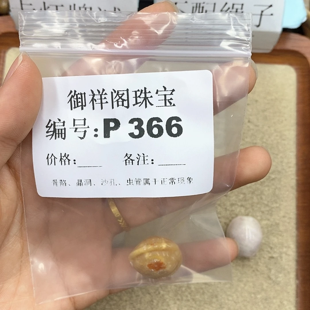 硅化珊瑚（珊瑚玉）P未镶嵌杪**三
