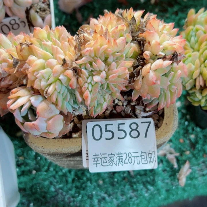 幸运的是我还没遇到过