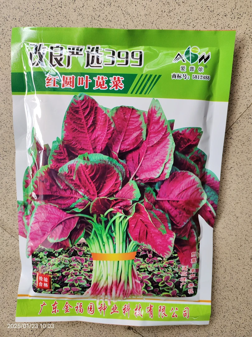 400克改良严选399红圆叶苋菜种子汉菜种子