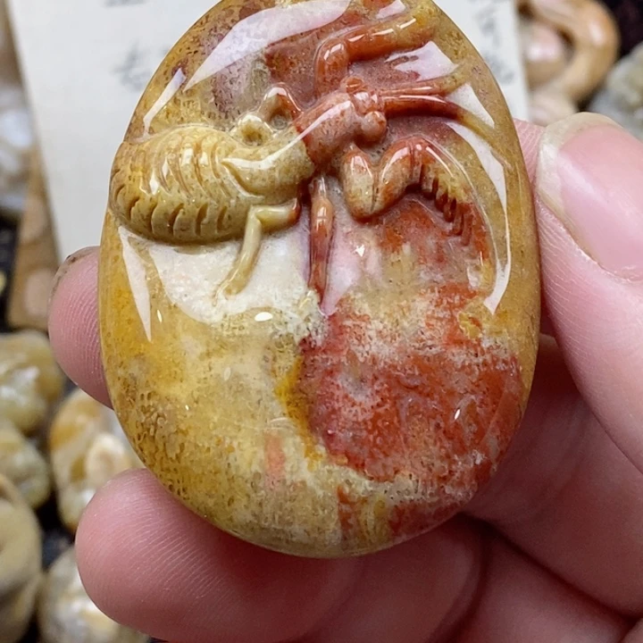 颈饰未镶嵌硅化珊瑚（珊瑚玉）