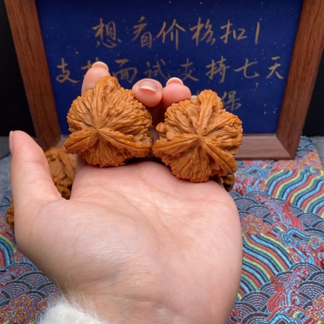 【闪购商品】琥****司白狮