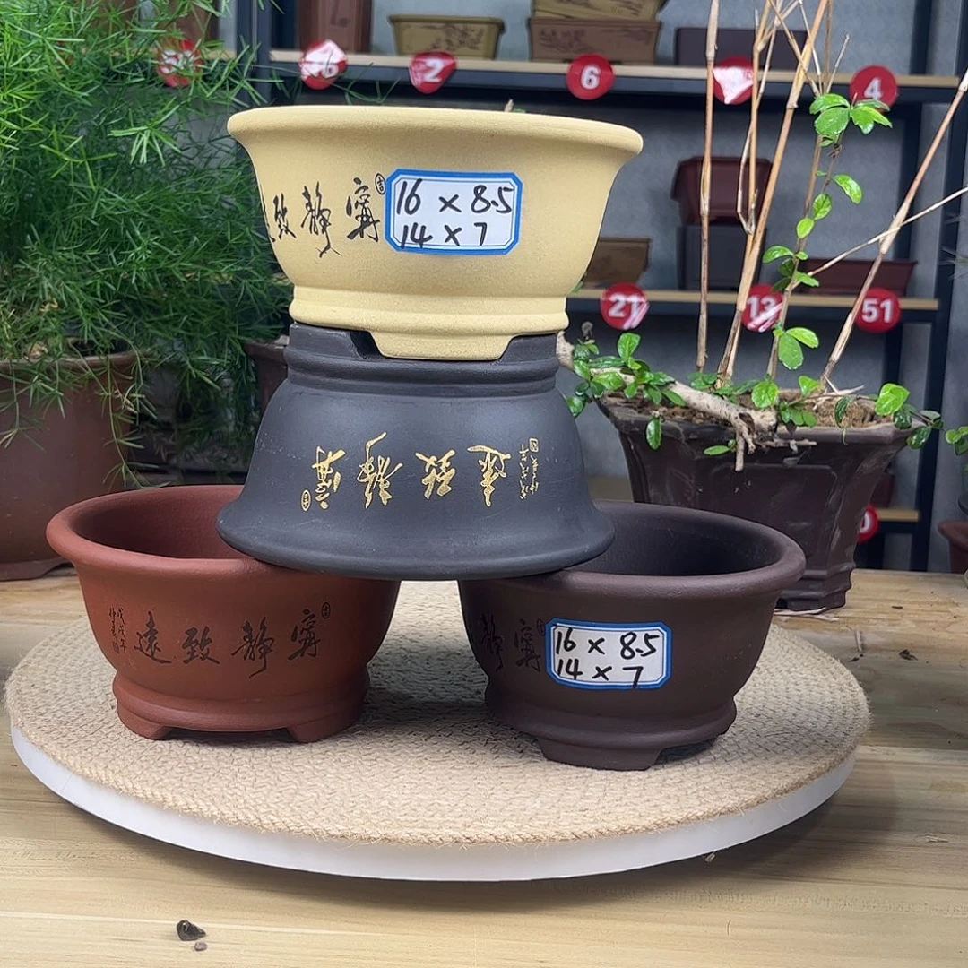 紫砂花盆紫砂花盆