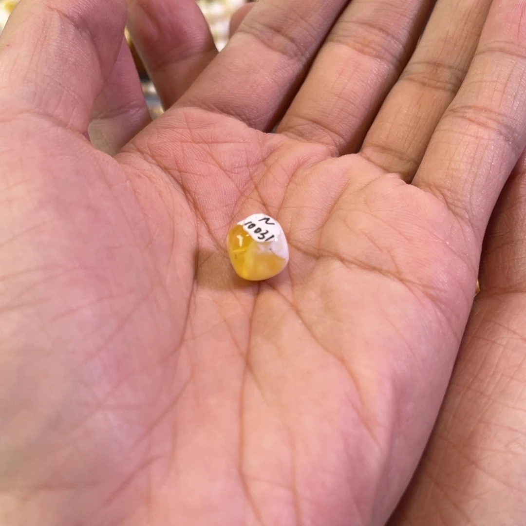 天***1琥珀未镶嵌裸石N10031金漆白老型单珠